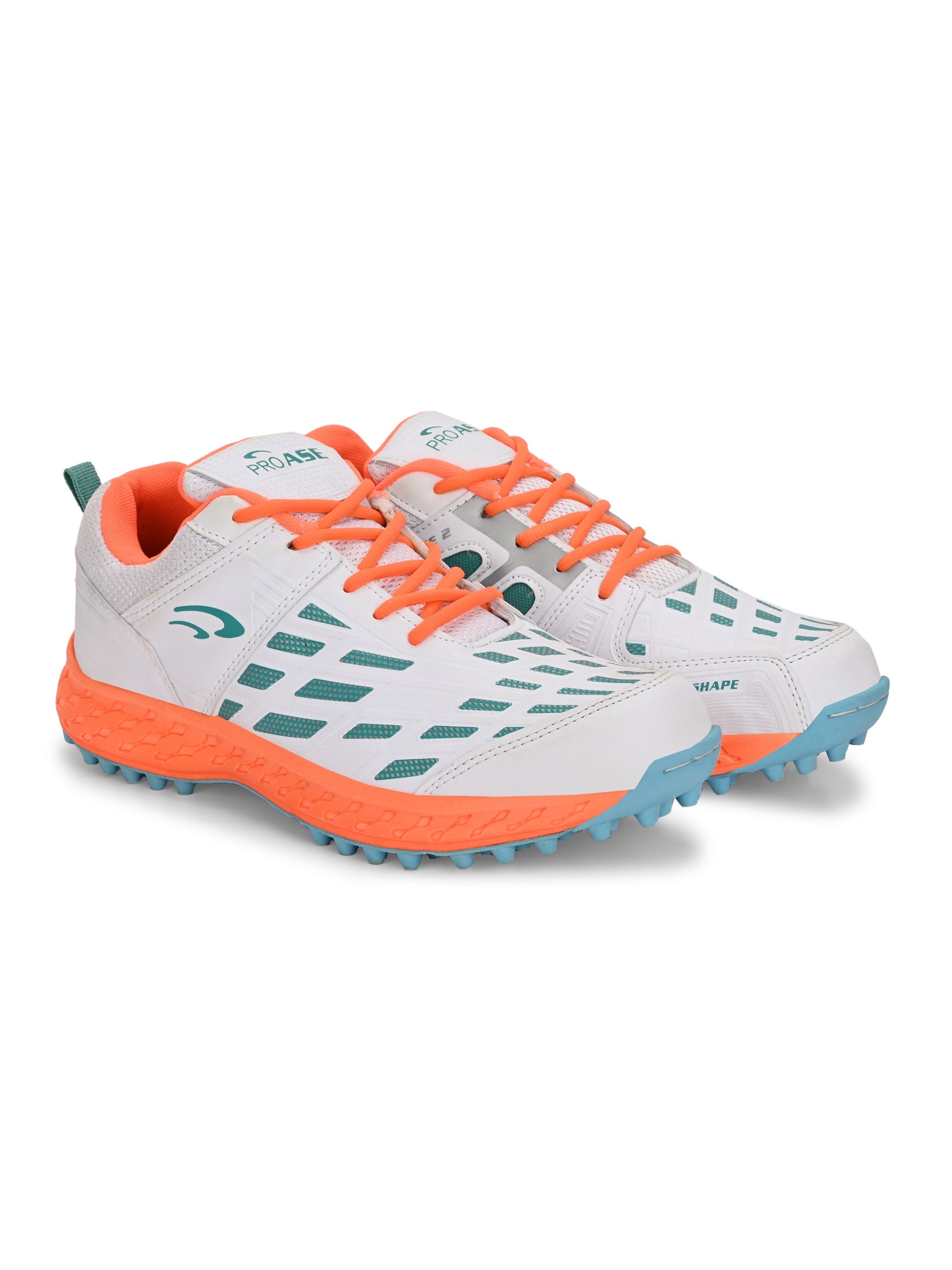 CG-103- Cricket Shoes