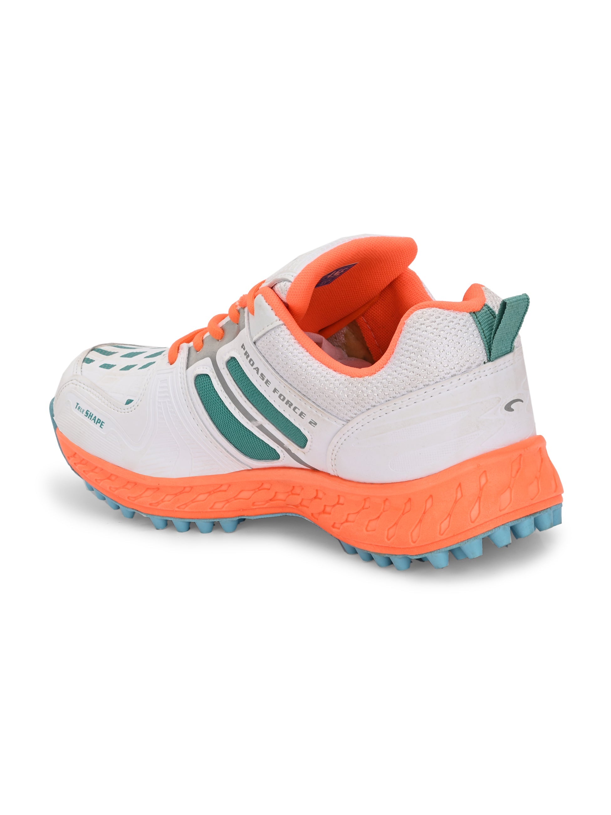 CG-103- Cricket Shoes