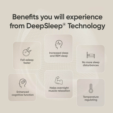 Lounge Life Sleep Shorts for Women