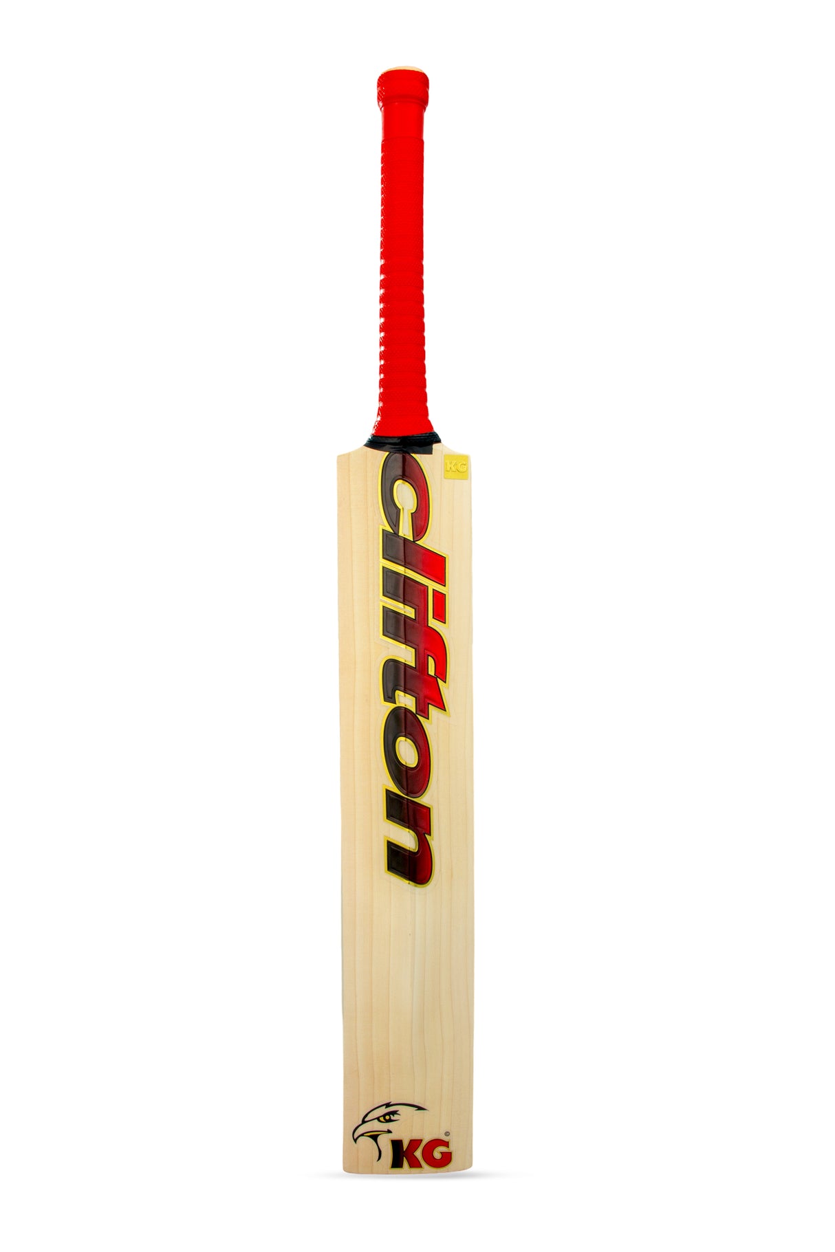 KG T20 Cricket Bat