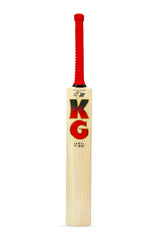 KG T20 Cricket Bat