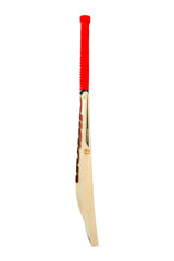 KG T-20 Cricket Bat