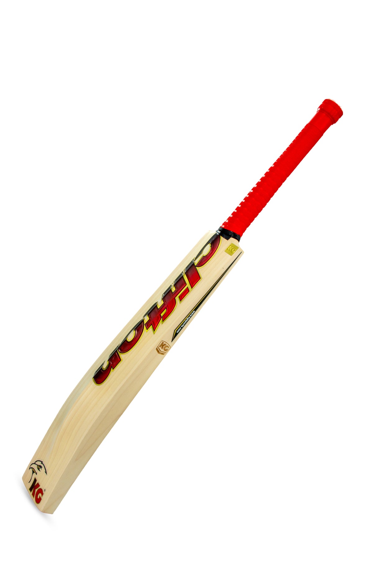 KG T20 Cricket Bat