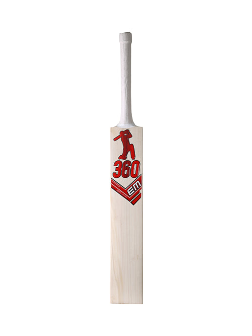 360 Bold English Willow