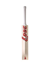 360 Bold English Willow