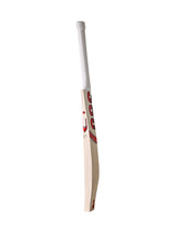 360 Bold English Willow