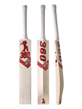 360 Bold English Willow