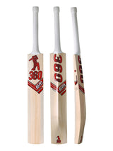 360 Bold Kashmir Willow