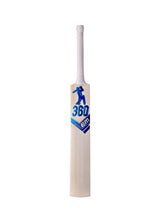 360 Legacy Kashmir Willow