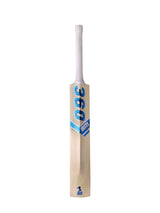 360 Legacy Kashmir Willow