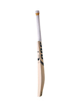 360 Number 17 Kashmir Willow