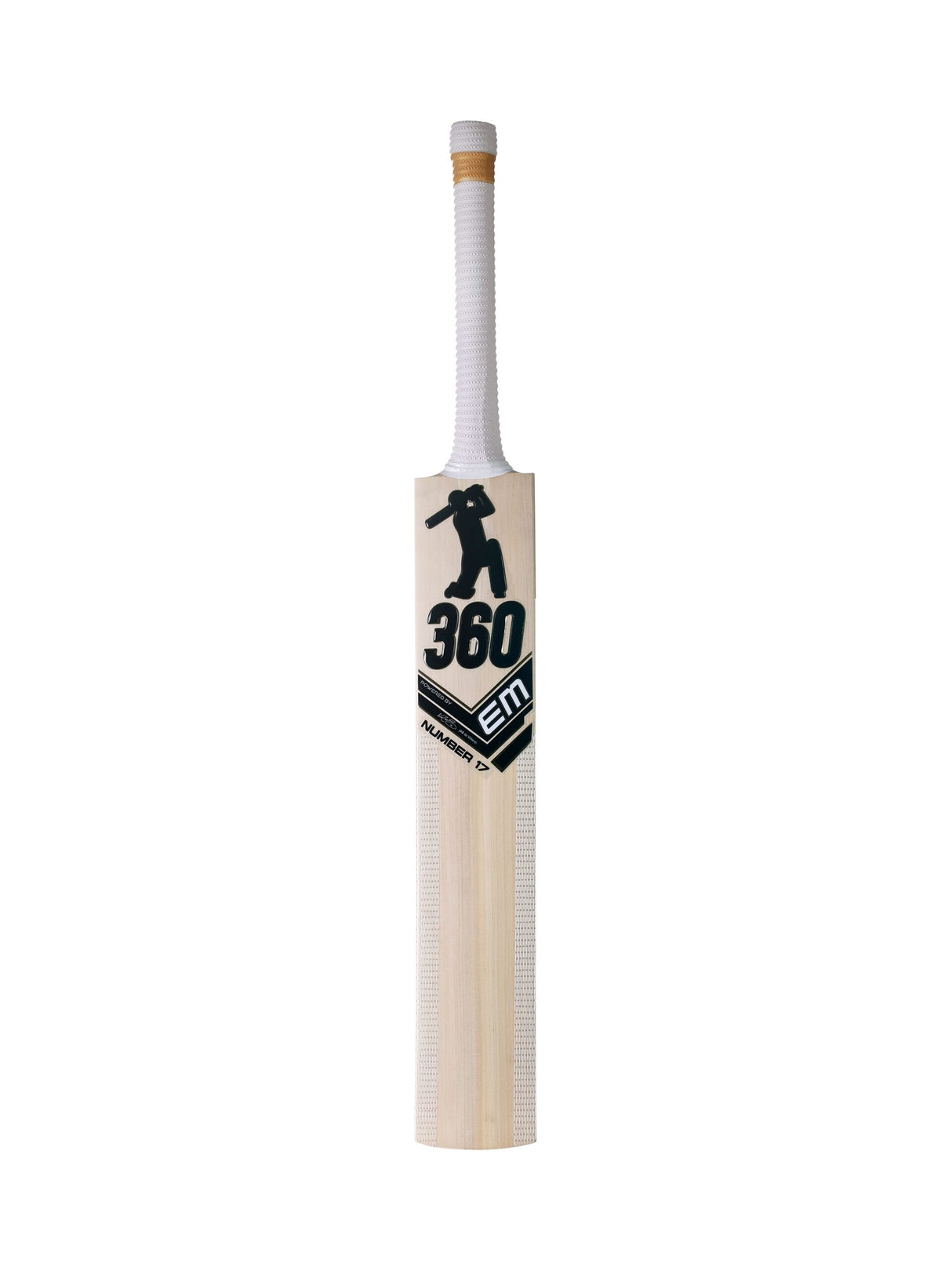 360 Number 17 Kashmir Willow