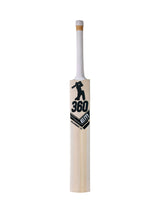 360 Number 17 Kashmir Willow