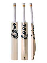 360 Number 17 Kashmir Willow