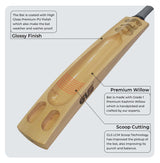GLS Destroyer Engraved Kashmir Willow Scoop Bat For Hard Tennis Ball