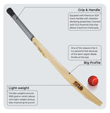 GLS Destroyer Engraved Kashmir Willow Scoop Bat For Hard Tennis Ball