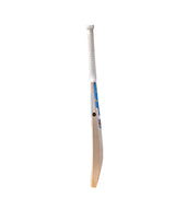 SF Triumph Warrior English Willow Bat