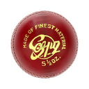 Vicky Soyuz Cricket Leather Ball | Kibi Sports