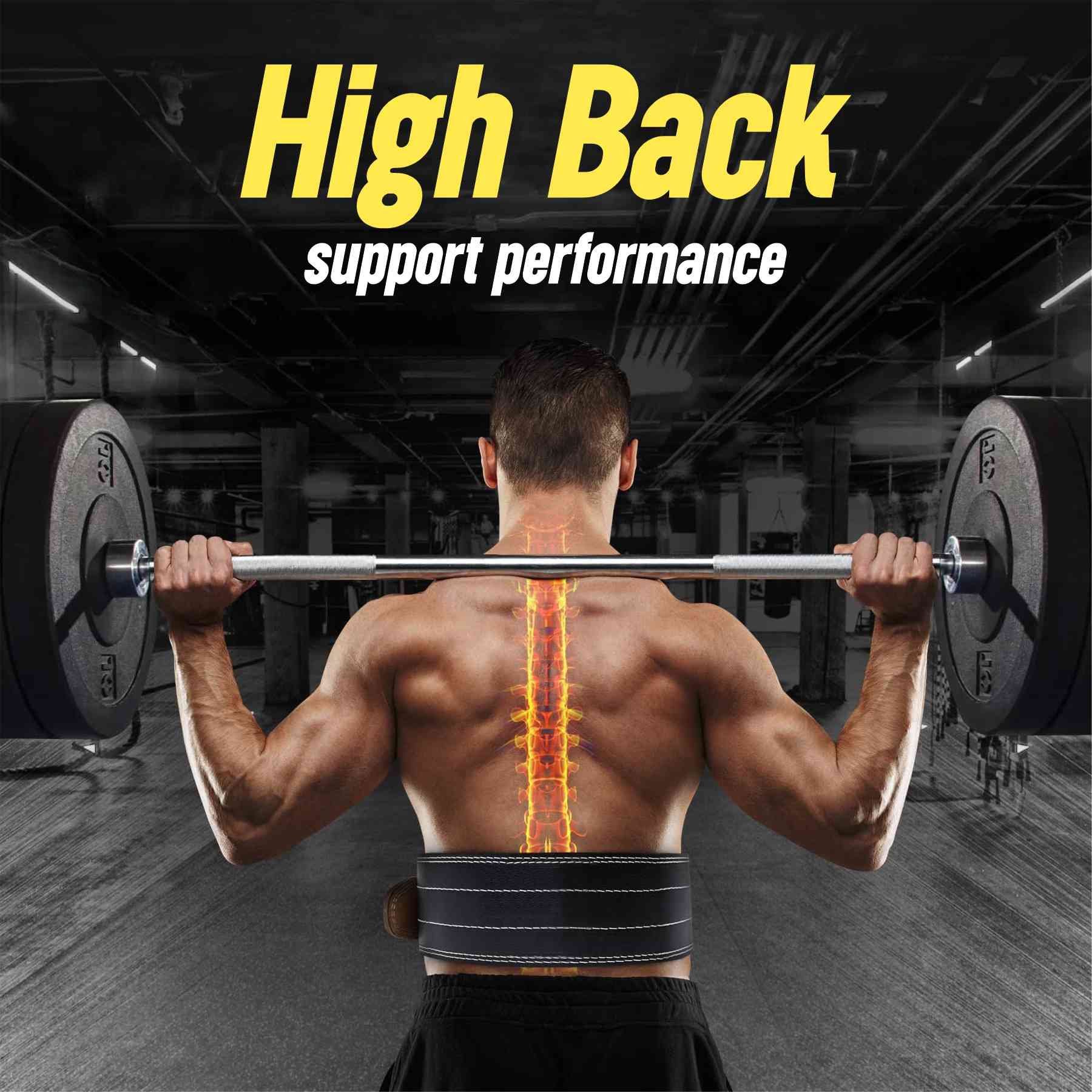 Vector X Hercules Weight Lifting Belt