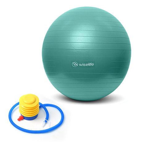Gym Ball | Wiselife