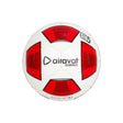 FOOTBALL DOMINEX 7210
