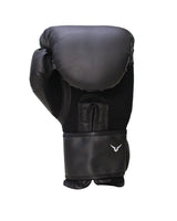Invincible Classic Training Boxing Gloves