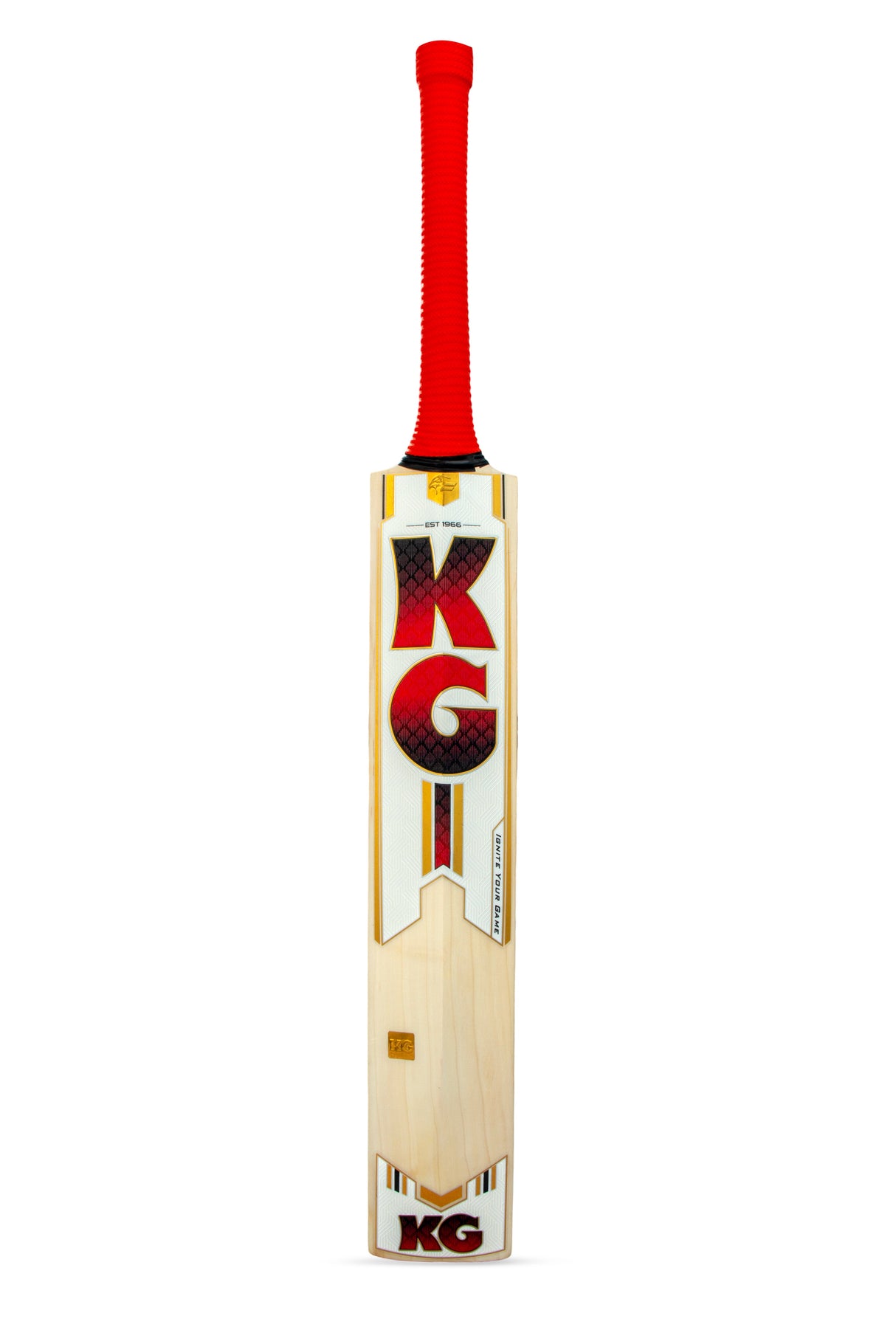KG Hitter Cricket Bat