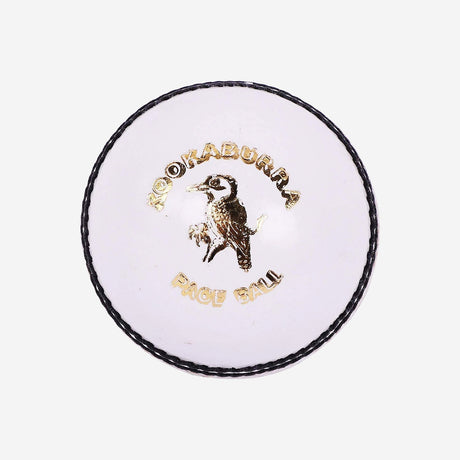 Leather Cricket Ball - Pace White