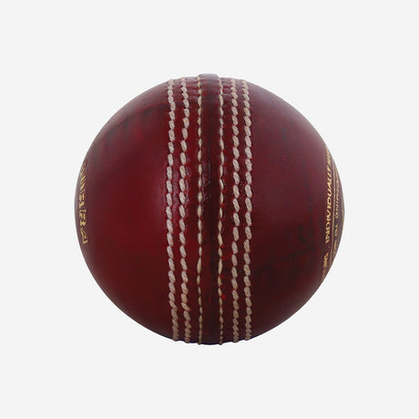 Leather Cricket Ball - Speed Red