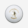 Leather Cricket Ball - Speed White