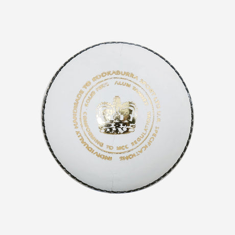 Leather Cricket Ball - Speed White