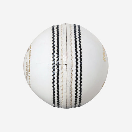 Leather Cricket Ball - Speed White