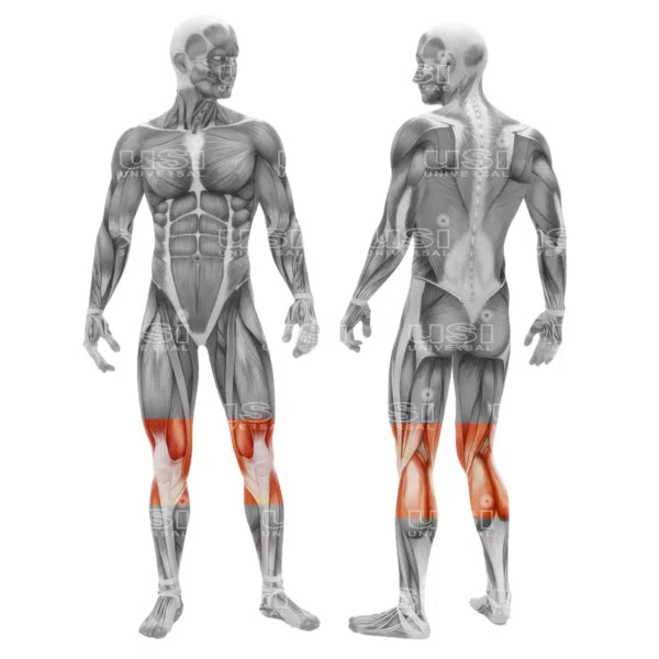 USI KNEE SLEEVES – KS