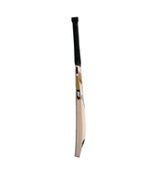 SF Gold Edition Kashmir Willow Bat
