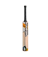 SF Gold Edition Kashmir Willow Bat