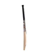 SF Jumbo 800 Kashmir Willow Bat