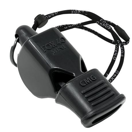 Mini CMG