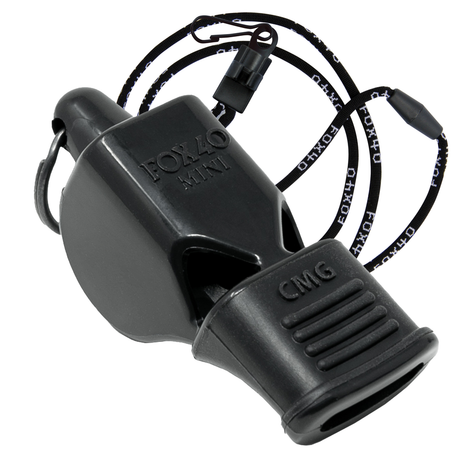 Mini CMG