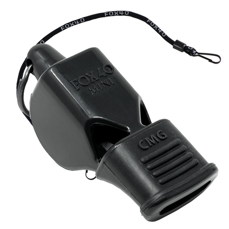 Mini CMG