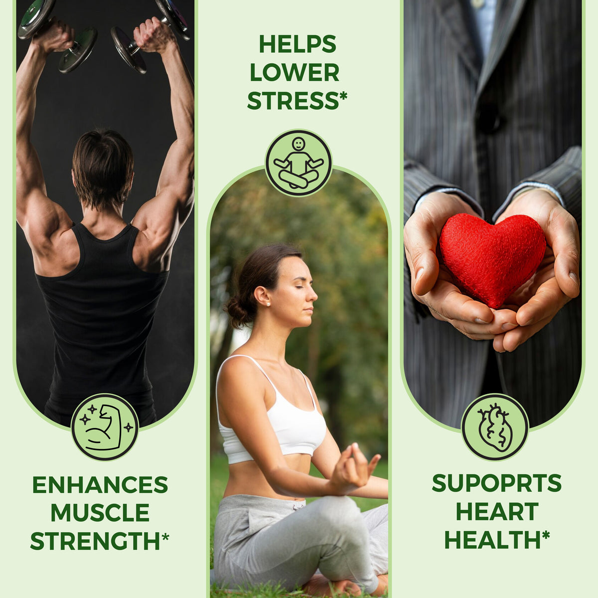 Organic Ashwagandha 180 Tablets  6-Month Supply | Stress, Sleep & Vitality