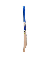 SF PA 18 English Willow Bat