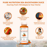 Sea Buckthorn Pulp Concentrate  300ml | Skin, Immunity & Omega Fatty Acids