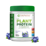 Vegan Protein Blueberry Blast Plant-Based Protein (500g) - Nutrition by Pure Nutrition