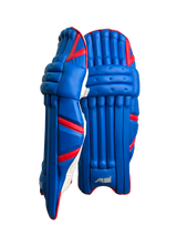 Cricket Batting Pads - Blue & Red