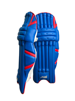 Cricket Batting Pads - Blue & Red