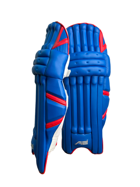 Cricket Batting Pads - Blue & Red