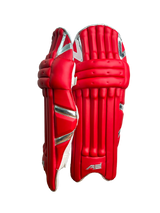 Cricket Batting Pads - Red & Silver