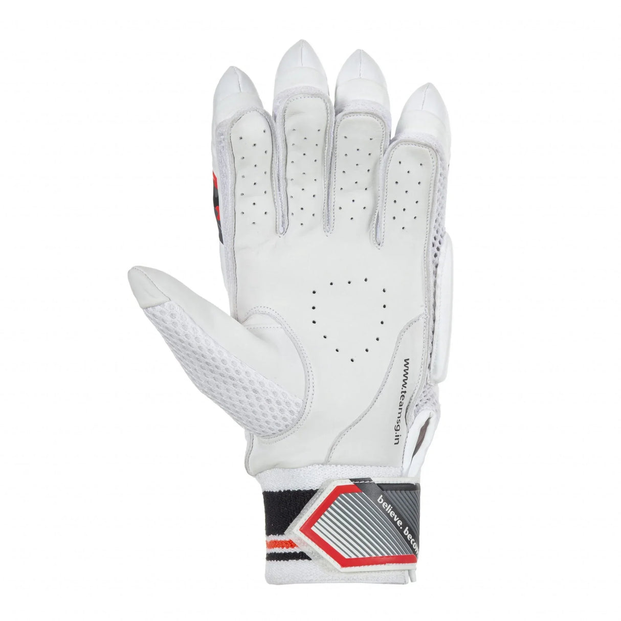 SG Prosoft Cricket Batting Gloves