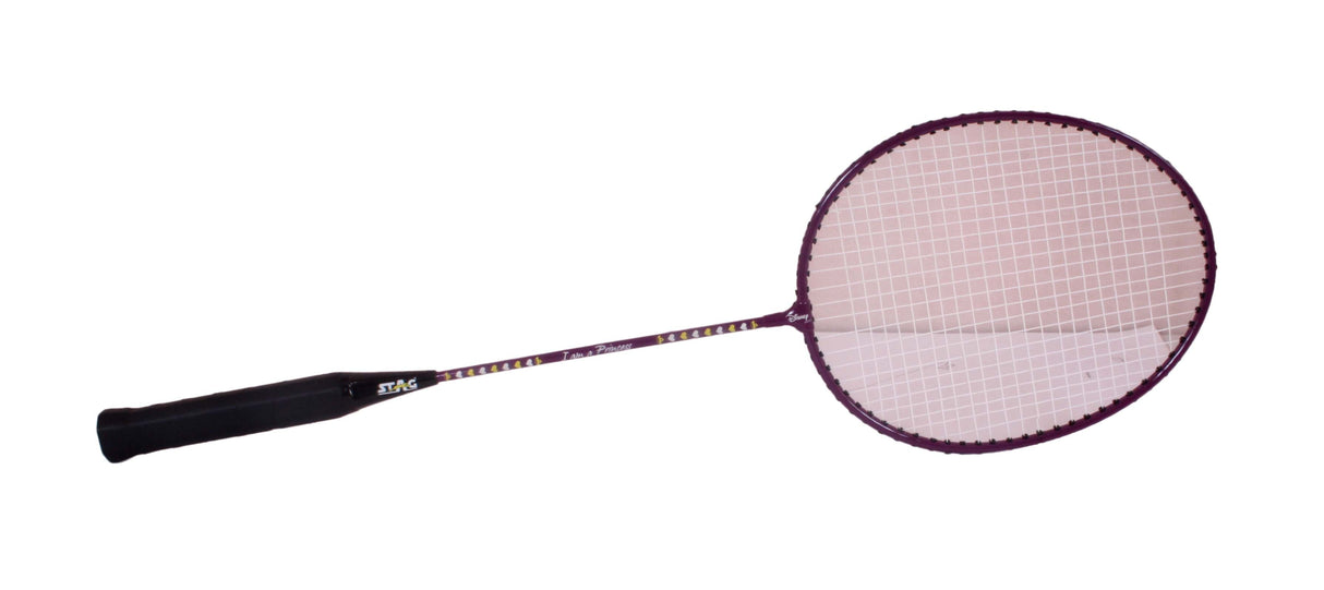STAG GLOBAL Disney Princess Badminton Racket Combo 2 Badminton Racket 3 Shuttle Cock -Purple/Pink  Model (RC002))