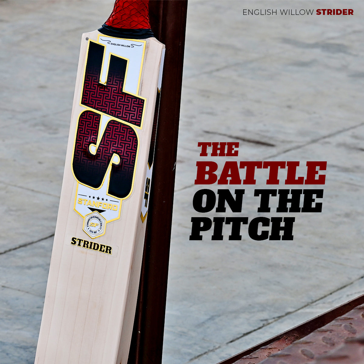 SF Strider English Willow Bat